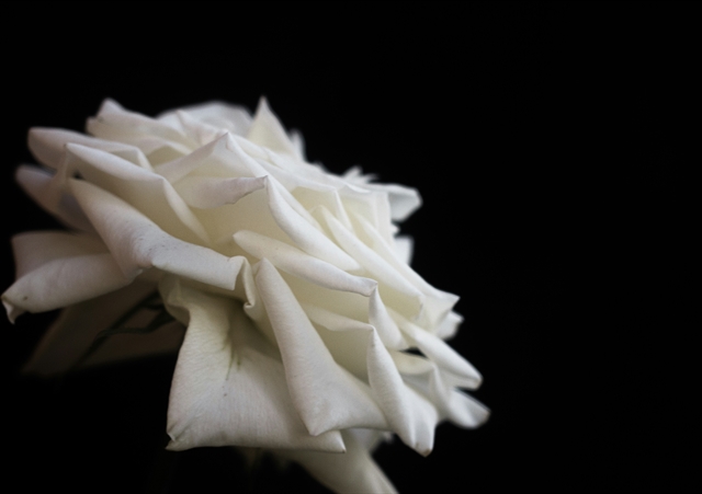 Kleenex-Owner Strikes a Deal for Its International Tissue Business