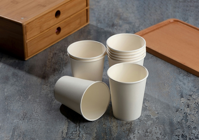 A Major Milestone for Paper Cup Recycling in the US